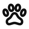 Perritos adoptados
